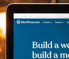 WordPress The Ultimate Beginners Guide to Create and Setup a Website